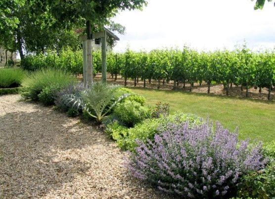 Chateau Belles Graves Bed & Breakfast Pomerols Exterior photo